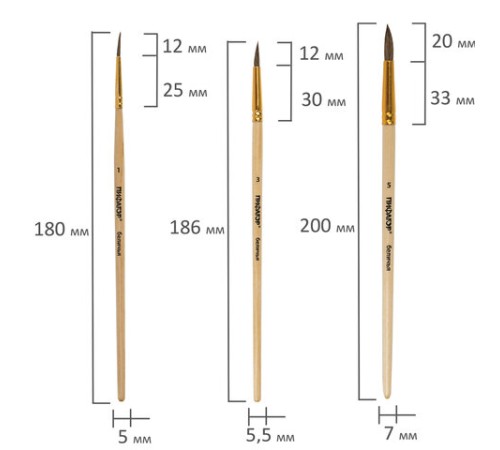 Кисти ПИФАГОР, набор 6 шт. (БЕЛКА: круглые № 1, 3, 5, 7, 9, 11), блистер с европодвесом, 200891