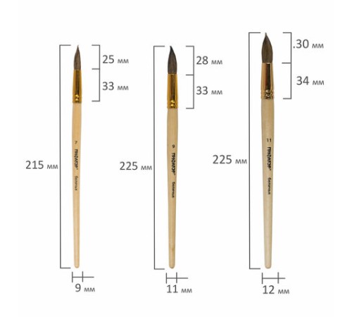 Кисти ПИФАГОР, набор 6 шт. (БЕЛКА: круглые № 1, 3, 5, 7, 9, 11), блистер с европодвесом, 200891