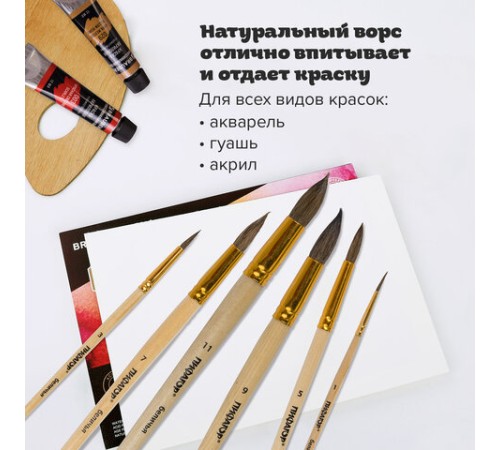 Кисти ПИФАГОР, набор 6 шт. (БЕЛКА: круглые № 1, 3, 5, 7, 9, 11), блистер с европодвесом, 200891