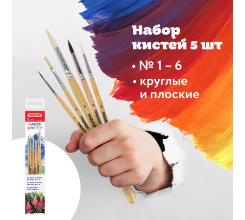 Кисти ПИФАГОР, набор 5 шт. (ПОНИ: круглые № 1, 4; КОЗА: круглые № 3, 6; ЩЕТИНА: плоская № 4), пакет с европодвесом, 200892