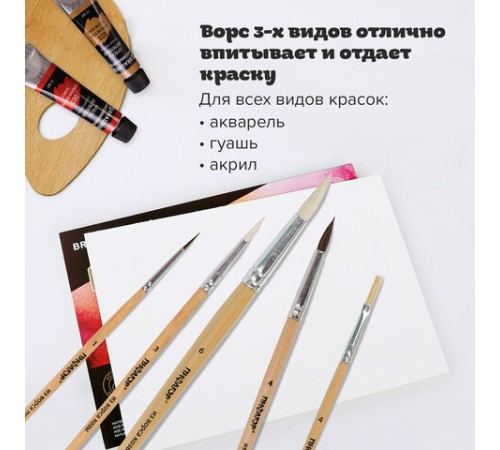 Кисти ПИФАГОР, набор 5 шт. (ПОНИ: круглые № 1, 4; КОЗА: круглые № 3, 6; ЩЕТИНА: плоская № 4), пакет с европодвесом, 200892