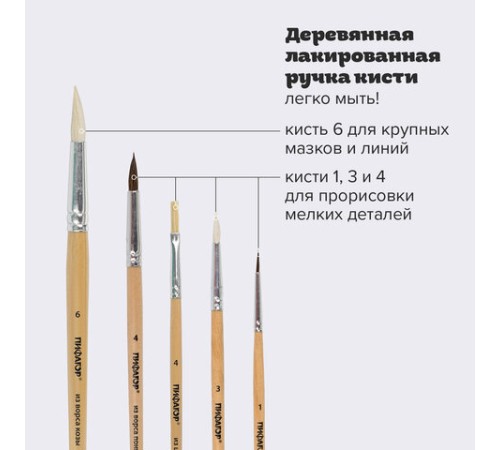 Кисти ПИФАГОР, набор 5 шт. (ПОНИ: круглые № 1, 4; КОЗА: круглые № 3, 6; ЩЕТИНА: плоская № 4), пакет с европодвесом, 200892
