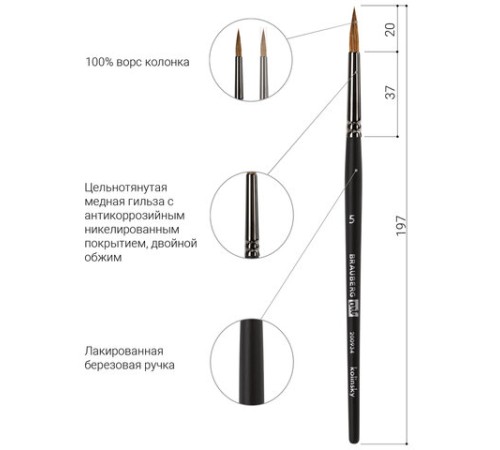 Кисть художественная проф. BRAUBERG ART CLASSIC, колонок, круглая, № 5, короткая ручка, 200934