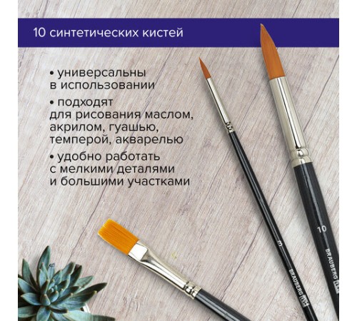 Кисти художественные набор 10 шт., синтетика BRAUBERG ART CLASSIC, 200961