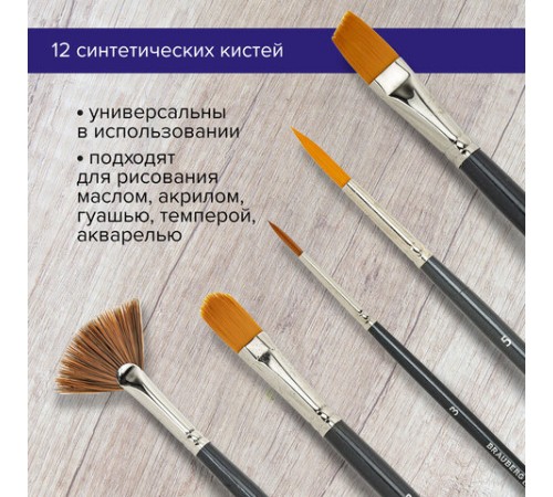 Кисти художественные набор 12 шт. в черном пенале, синтетика, BRAUBERG ART CLASSIC, № 0-14 + веерная, 200966