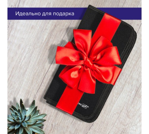 Кисти художественные набор 12 шт. в черном пенале, синтетика, BRAUBERG ART CLASSIC, № 0-14 + веерная, 200966