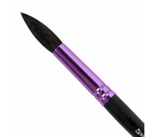 Кисть белка, круглая № 10, BRAUBERG PREMIUM, 200979