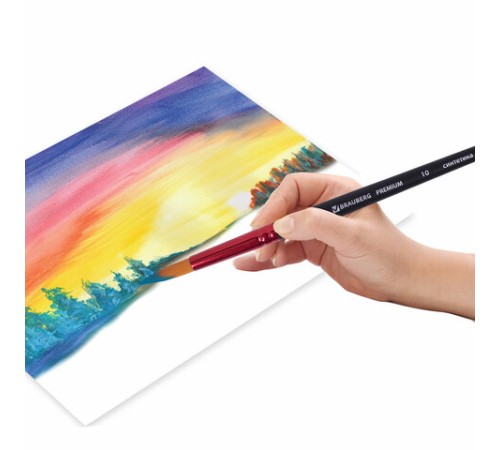 Кисть синтетика, круглая № 10, BRAUBERG PREMIUM, 201009