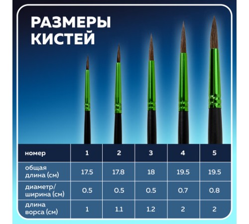 Кисти BRAUBERG PREMIUM, набор 5 шт. (из ворса пони круглые № 1, 2, 3, 4, 5), блистер, 201022