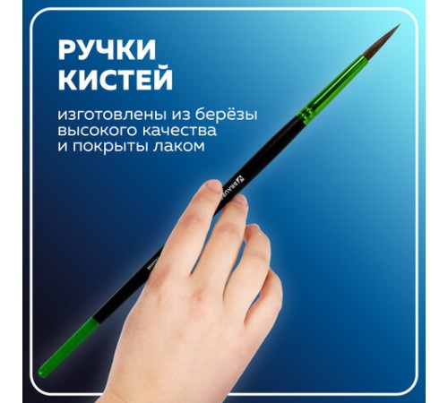 Кисти BRAUBERG PREMIUM, набор 5 шт. (из ворса пони круглые № 1, 2, 3, 4, 5), блистер, 201022