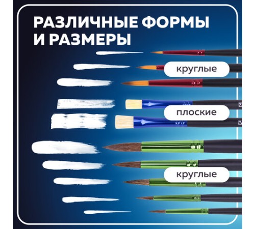 Кисти BRAUBERG PREMIUM, набор 10 шт. (круглые пони - 5 шт., синтетика - 3 шт., плоские щетина - 2 шт.), блистер, 201023