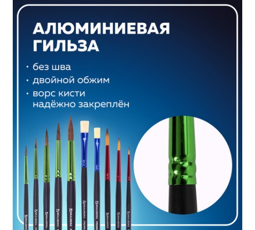 Кисти BRAUBERG PREMIUM, набор 10 шт. (круглые пони - 5 шт., синтетика - 3 шт., плоские щетина - 2 шт.), блистер, 201023