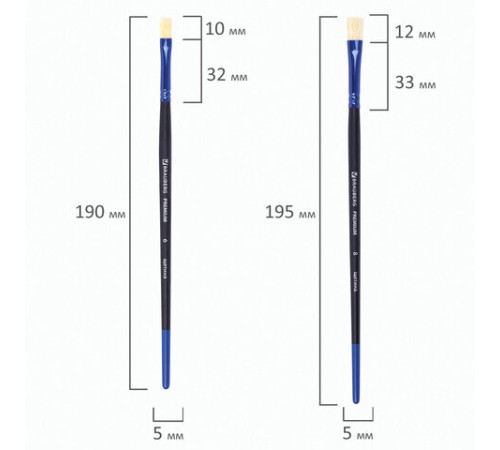 Кисти BRAUBERG PREMIUM, набор 10 шт. (круглые пони - 5 шт., синтетика - 3 шт., плоские щетина - 2 шт.), блистер, 201023