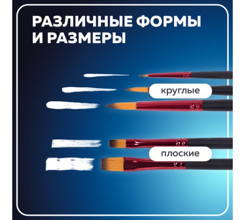 Кисти BRAUBERG PREMIUM, набор 5 шт. (синтетика, круглая № 1, 3, 5, плоская № 5, 8), блистер, 201024