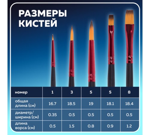 Кисти BRAUBERG PREMIUM, набор 5 шт. (синтетика, круглая № 1, 3, 5, плоская № 5, 8), блистер, 201024