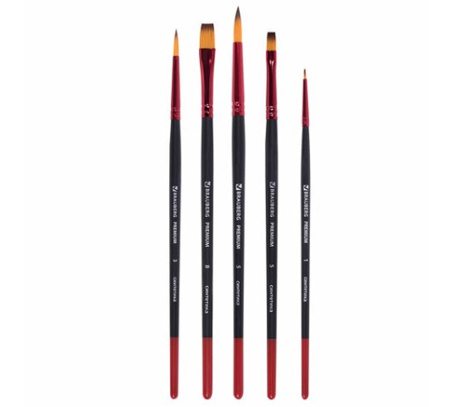 Кисти BRAUBERG PREMIUM, набор 5 шт. (синтетика, круглая № 1, 3, 5, плоская № 5, 8), блистер, 201024