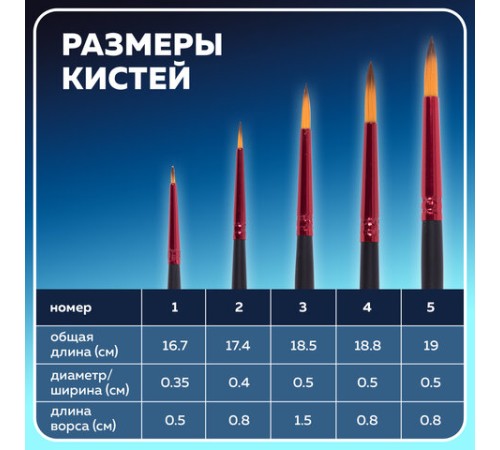 Кисти BRAUBERG PREMIUM, набор 5 шт. (синтетика, круглая № 1, 2, 3, 4, 5), блистер, 201025