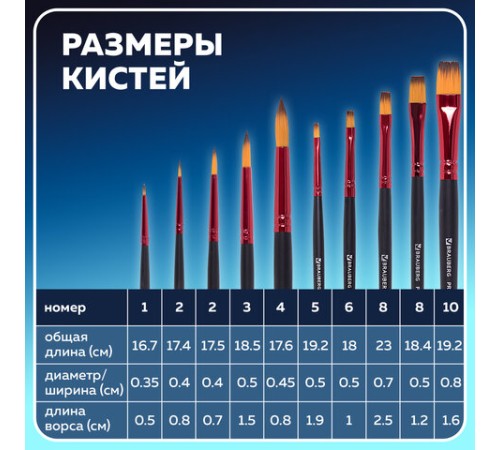 Кисти BRAUBERG PREMIUM, набор 10 шт. (синтетика, круглые № 1, 2, 3, 5, 8, плоские № 2, 4, 6, 8, 10), 201027