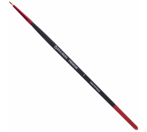 Кисти BRAUBERG PREMIUM, набор 10 шт. (синтетика, круглые № 1, 2, 3, 5, 8, плоские № 2, 4, 6, 8, 10), 201027