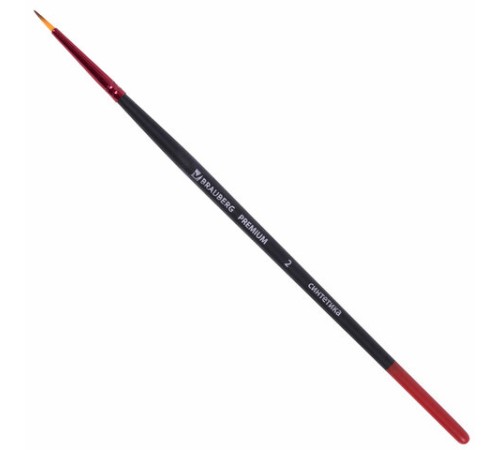 Кисти BRAUBERG PREMIUM, набор 10 шт. (синтетика, круглые № 1, 2, 3, 5, 8, плоские № 2, 4, 6, 8, 10), 201027