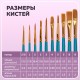 Кисти синтетика BRAUBERG, НАБОР 10 шт., синие (Круглые; Овальные; Плоские; Лайнеры), 201030