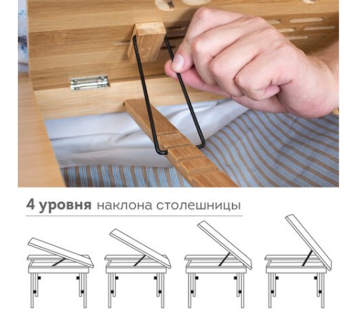 Столик БАМБУКОВЫЙ складной для ноутбука/завтрака, DASWERK (ДАСВЕРК), 532582 Столик БАМБУКОВЫЙ складной для ноутбука/завтрака, DASWERK (ДАСВЕРК), 532582