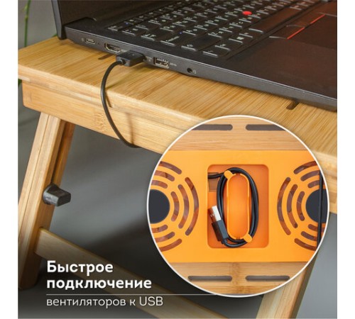 Столик БАМБУКОВЫЙ складной для ноутбука/завтрака, с охлаждением, DASWERK (ДАСВЕРК), 532583 Столик БАМБУКОВЫЙ складной для ноутбука/завтрака, с охлаждением, DASWERK (ДАСВЕРК), 532583