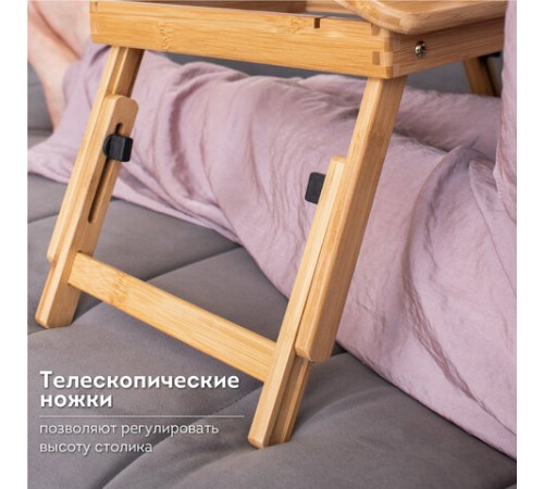 Столик БАМБУКОВЫЙ складной для ноутбука/завтрака, с охлаждением, DASWERK (ДАСВЕРК), 532583 Столик БАМБУКОВЫЙ складной для ноутбука/завтрака, с охлаждением, DASWERK (ДАСВЕРК), 532583