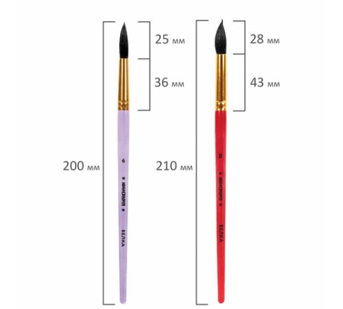 Кисти ПОНИ, БЕЛКА набор 5 шт. (пони круглые 2, 3, 5 белка круглые 6, 8) блистер, ЮНЛАНДИЯ, 201070