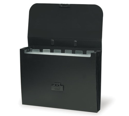 Папка-портфель пластиковая BRAUBERG 