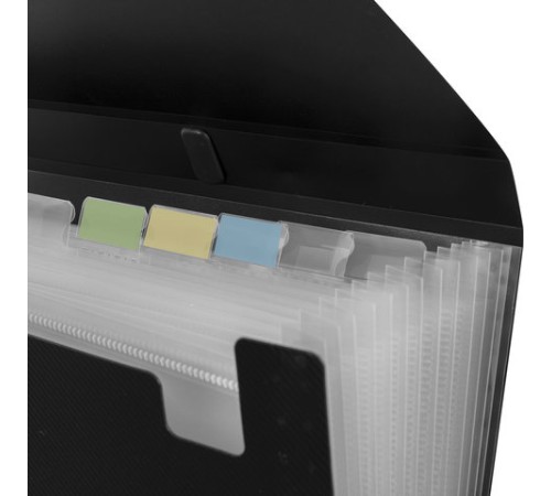 Папка-портфель пластиковая BRAUBERG А4 (332х245х35 мм), 13 отделений, фактура диагональ, черная, 221375