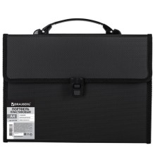 Папка-портфель пластиковая BRAUBERG А4 (332х245х35 мм), 13 отделений, черная, 221378