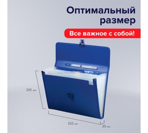 Папка-портфель пластиковая BRAUBERG А4 (332х245х35 мм), 13 отделений, синяя, 221379
