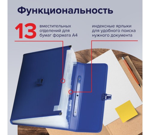 Папка-портфель пластиковая BRAUBERG А4 (332х245х35 мм), 13 отделений, синяя, 221379