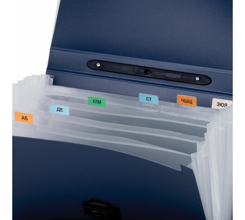 Папка-портфель пластиковая BRAUBERG 