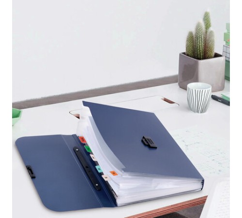 Папка-портфель пластиковая BRAUBERG 