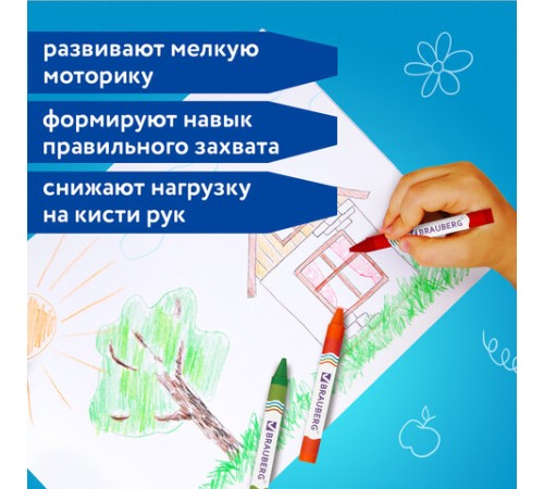 Восковые мелки утолщенные BRAUBERG, НАБОР 12 цветов, 222966