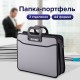 Папка-портфель пластиковая BRAUBERG ПРЕМЬЕР А4 (390х315х120 мм), 3 отделения, фактура 