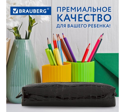 Пенал-косметичка BRAUBERG 