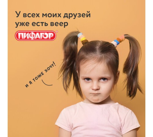 Веер-касса (гласные буквы) ПИФАГОР, 227390