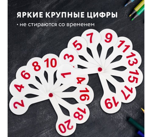 Веер-касса (цифры от 1 до 20) ПИФАГОР, 227392