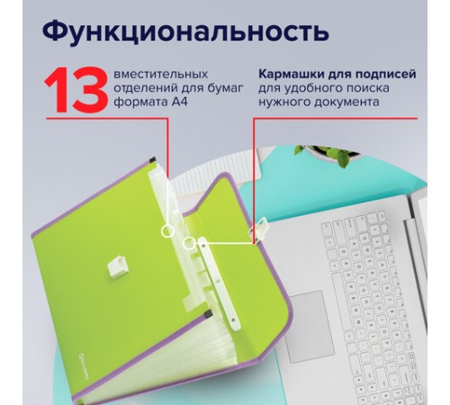 Папка-портфель пластиковая BRAUBERG 