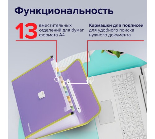 Папка-портфель пластиковая BRAUBERG 
