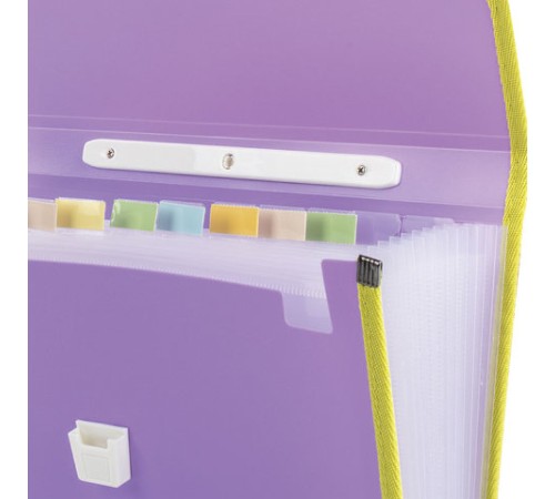 Папка-портфель пластиковая BRAUBERG 