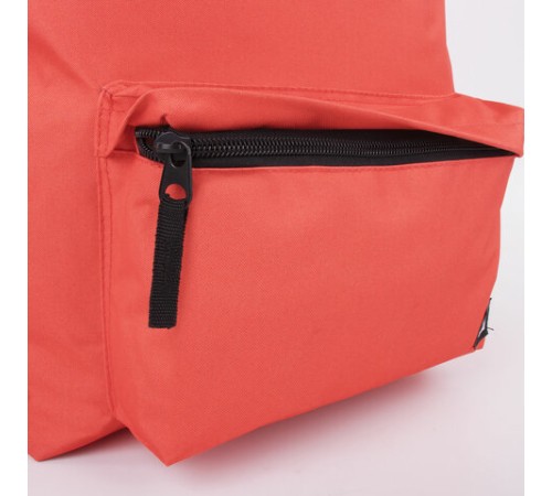 Рюкзак BRAUBERG СИТИ-ФОРМАТ один тон, универсальный, коралловый, 41х32х14 см, 228844