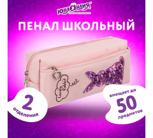 Пенал мягкий ЮНЛАНДИЯ, 2 отделения, полиэстер, 