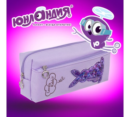 Пенал мягкий ЮНЛАНДИЯ, 2 отделения, полиэстер, 