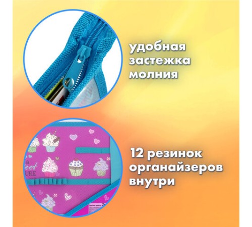 Папка для труда BRAUBERG А4, 2 отделения, пластик, молния сверху, органайзер, 