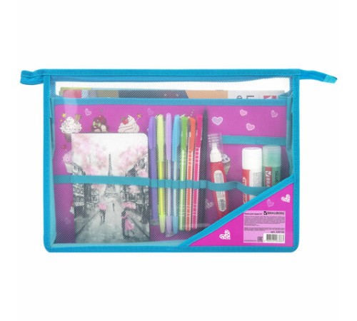 Папка для труда BRAUBERG А4, 2 отделения, пластик, молния сверху, органайзер, 