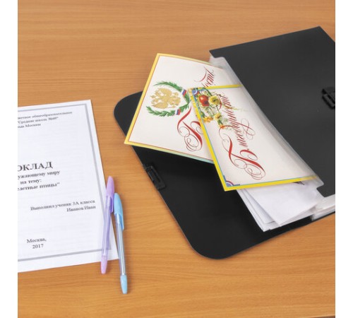 Портфель пластиковый STAFF А4 (330х235х36 мм), 13 отделений, индексные ярлыки, черный, 229245